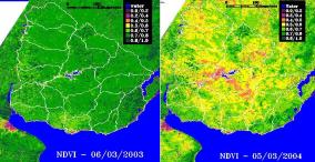 Indice de vegetaci�n